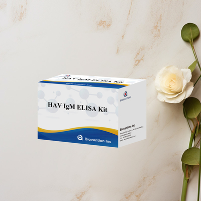 HAV IgM ELISA Kit Alta sensibilidad Hepatitis A Detección de virus Prueba de diagnóstico precisa y confiable para laboratorios clínicos