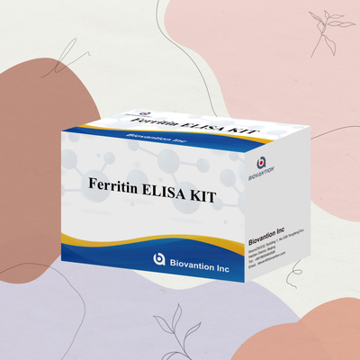 Biovanción Kit de prueba de alta sensibilidad de ferritina Elisa Detección cuantitativa para diagnóstico clínico y investigación Uso de muestras de plasma de suero humano