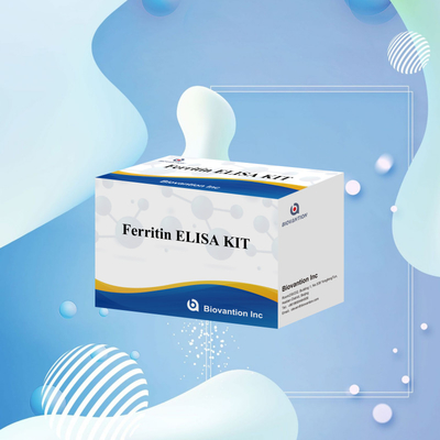 Biovanción Kit de prueba de alta sensibilidad de ferritina Elisa Detección cuantitativa para diagnóstico clínico y investigación Uso de muestras de plasma de suero humano
