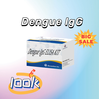 Kit de prueba Elisa de IgG de alto rendimiento para el dengue para resultados sensibles y específicos