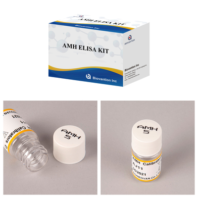 Hormona anti-mulleriana altamente sensible / Kit Elisa AMH para detección precisa y rápida de enfermedades