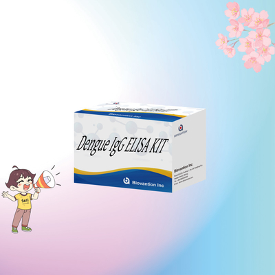 Reagentes IVD de alta precisión para el dengue Kit de ELISA IgG para detección humana con plasma sérico