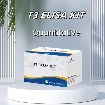 Kit de ELISA para el ensayo de inmunosorbente ligado a la enzima T3