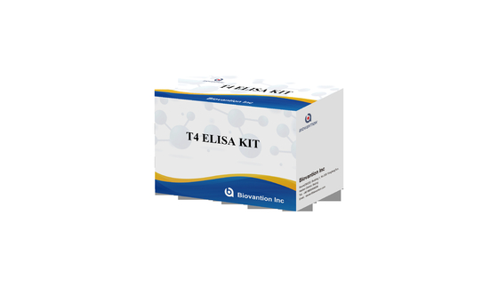 Kit de prueba T4 Elisa de alta especificidad para la detección precisa de sustancias diana