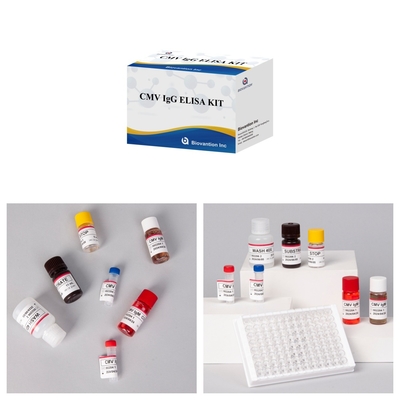 Kit de prueba CMV Elisa de alta sensibilidad para obtener resultados precisos y precisos