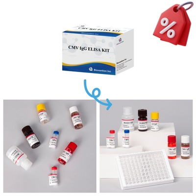 Kit de prueba CMV Elisa de alta sensibilidad para obtener resultados precisos y precisos