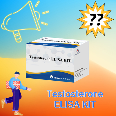 Kit de prueba Elisa de testosterona de alto rendimiento para la cuantificación precisa de biomarcadores