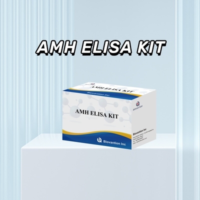 Prueba IVD Hormona anti-mulleriana AMH Elisa para detección humana con prueba 96