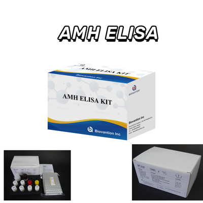 Prueba IVD Hormona anti-mulleriana AMH Elisa para detección humana con prueba 96