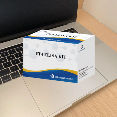 Para laboratorio o hospital, kit de prueba de alta precisión para el análisis de la tiroxina libre FT4 Elisa