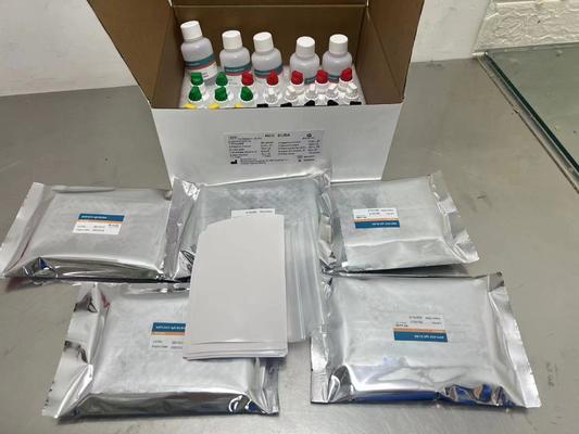 Kit de prueba ELISA para HCV Reactivos de inmunoensayo enzimático para la detección de anticuerpos contra el virus de la hepatitis C humana Uso diagnóstico de laboratorio
