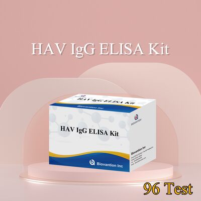 Kit de ELISA de IgG HAV de alta sensibilidad (0,2 ng/mL) Certificado CE para la detección precisa del virus de la hepatitis A en 96 pruebas