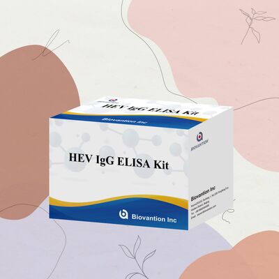 Kit de prueba ELISA HEV-IgG de alta sensibilidad con presentación de 96T y 18 meses de vida útil para el diagnóstico de hepatitis E