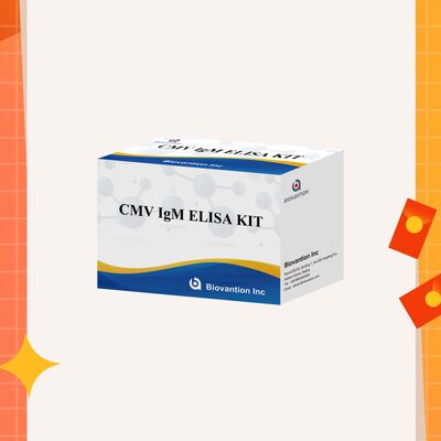 Kit de ensayo 96T CMV ELISA con detección colorimétrica y método sandwich para anticuerpos contra el citomegalovirus