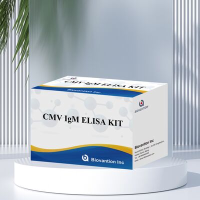 Kit de ensayo 96T CMV ELISA con detección colorimétrica y método sandwich para anticuerpos contra el citomegalovirus