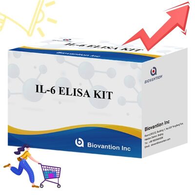 Kit ELISA Humano IL-6 Interleucina-6 con 99% de Precisión, 24 Meses de Vida Útil y 96 Tests/Kit