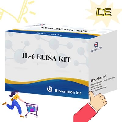 Kit ELISA Humano IL-6 Interleucina-6 con 99% de Precisión, 24 Meses de Vida Útil y 96 Tests/Kit
