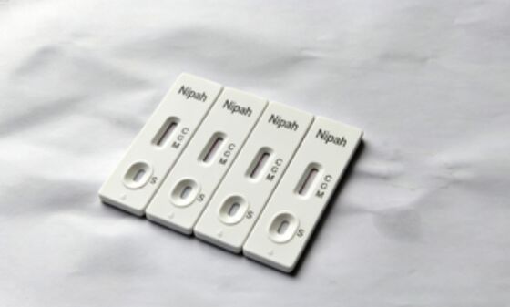 Kit de pruebas rápidas de diagnóstico in vitro de oro coloidal para el virus Nipah (NiV) IgG/IgM