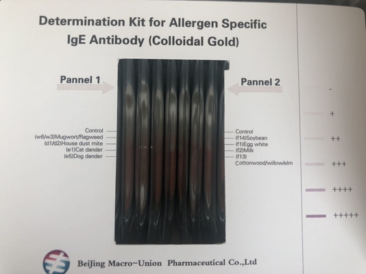 Tiras rápidas de la prueba 20 de IgE del alergénico de sangre del oro coloidal específico del análisis