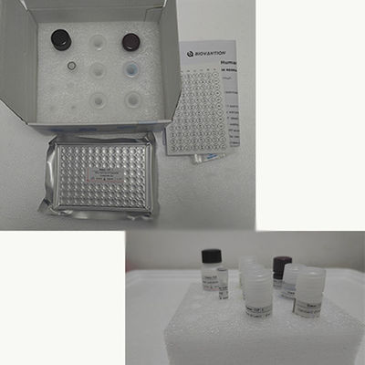Kit de prueba de TNF-α RUO Elisa en humanos