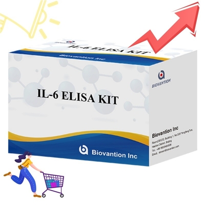 Kit de ELISA de alta sensibilidad para la detección de IL6 Reactivos de investigación confiables para un análisis preciso de citocinas
