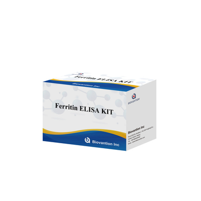 Biovanción Kit de prueba de alta sensibilidad de ferritina Elisa Detección cuantitativa para diagnóstico clínico y investigación Uso de muestras de plasma de suero humano