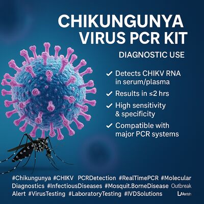 Kit de prueba del virus Chikungunya PCR Manual de uso Revestimiento de plástico Estabilidad de 24 meses