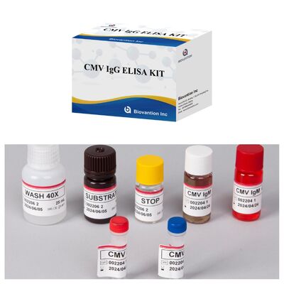 Kit de ensayo 96T CMV ELISA con detección colorimétrica y método sandwich para anticuerpos contra el citomegalovirus