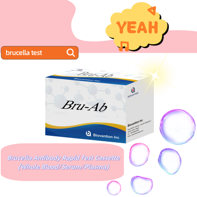 Kit ELISA de anticuerpos IgG/IgM de Brucella humana  Kit de prueba ELISA de diagnóstico de suero de brucelosis para detección de muestras humanas