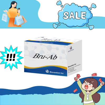 Kit ELISA de anticuerpos IgG/IgM de Brucella humana  Kit de prueba ELISA de diagnóstico de suero de brucelosis para detección de muestras humanas